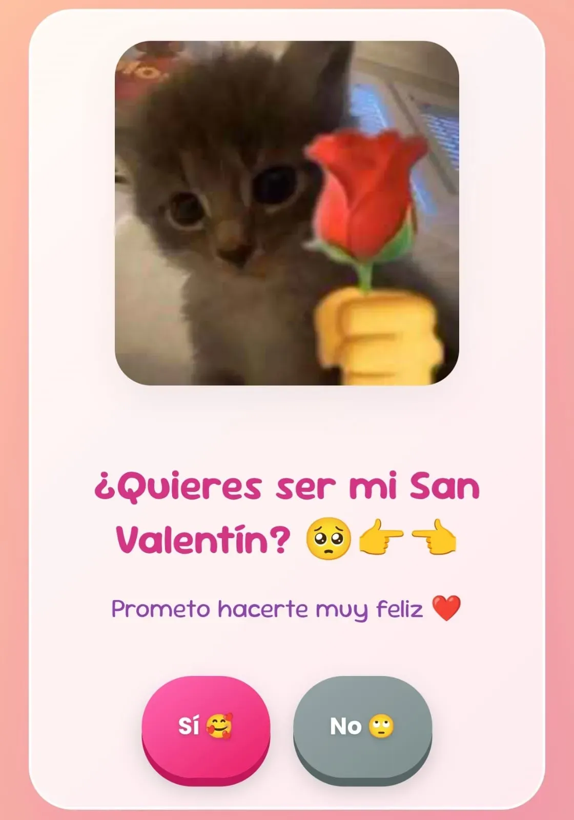 Personalizar ¿Quieres ser mi San Valentín? 💗🥺