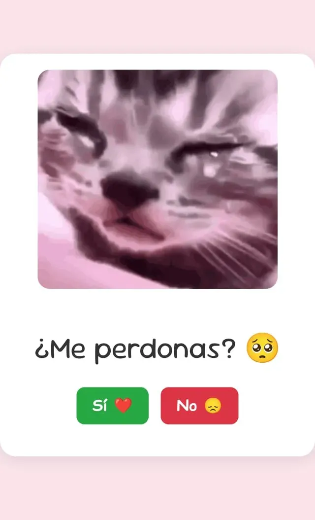 Personalizar ¿Me perdonas?❤️😿 v2